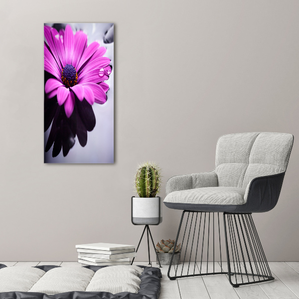 Vertikálny foto-obraz canvas do obývačky Ružová gerbera