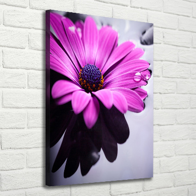 Vertikálny foto-obraz canvas do obývačky Ružová gerbera