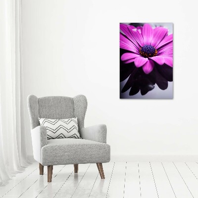 Vertikálny foto-obraz canvas do obývačky Ružová gerbera