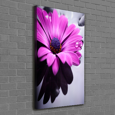 Vertikálny foto-obraz canvas do obývačky Ružová gerbera