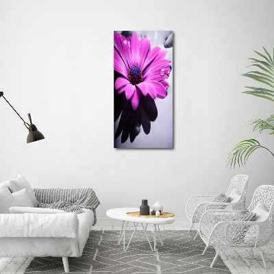 Vertikálny foto-obraz canvas do obývačky Ružová gerbera