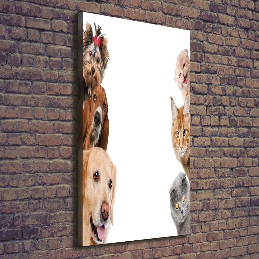 Vertikálny foto obraz na plátne do obývačky Psy a mačky