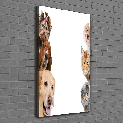 Vertikálny foto obraz na plátne do obývačky Psy a mačky