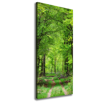 Vertikálny foto obraz na plátne do obývačky Zelený les