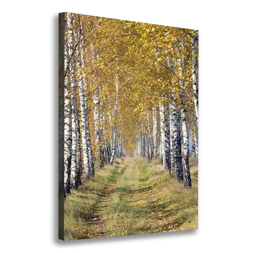 Vertikálny foto obraz canvas Brezový les