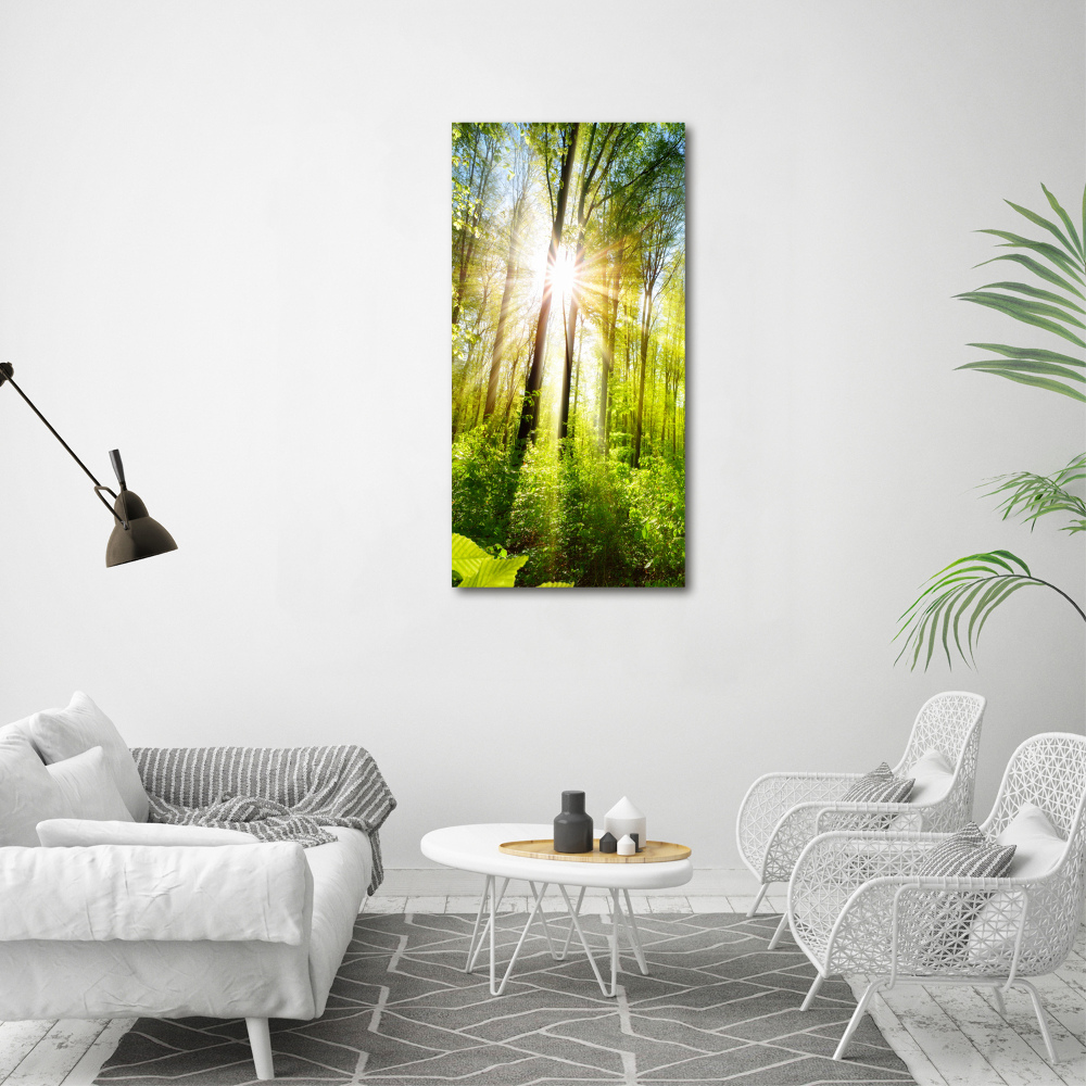 Vertikálny foto obraz na plátne Slnko v lese