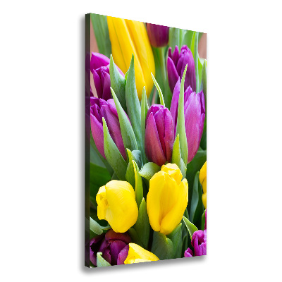 Vertikálny foto obraz na plátne Farebné tulipány