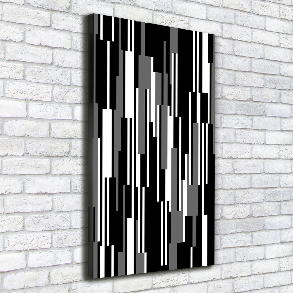 Vertikálny foto obraz na plátne Čierno-biele línie