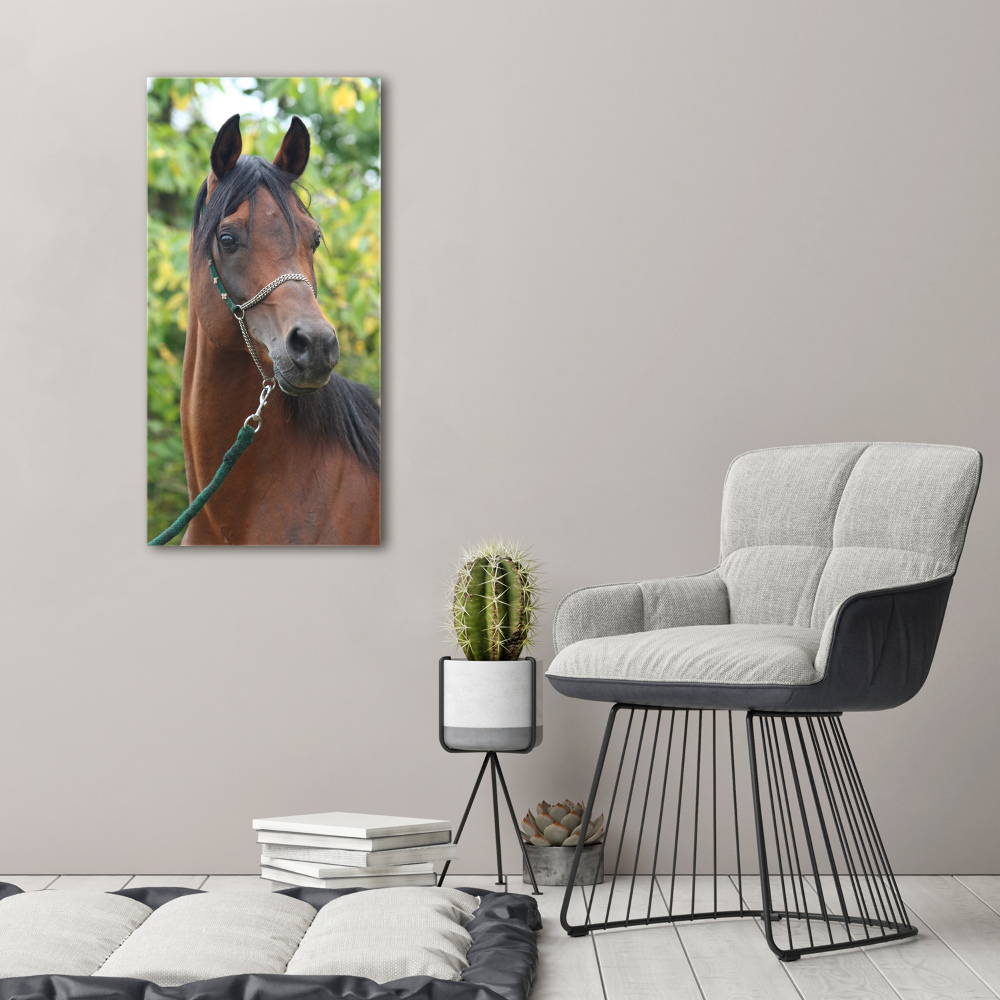 Vertikálny foto obraz na plátne Portrét koňa