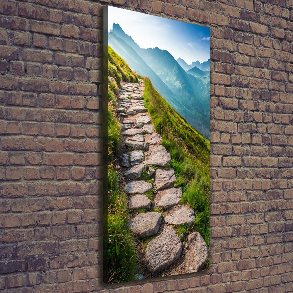 Vertikálny foto obraz canvas Horský chodník