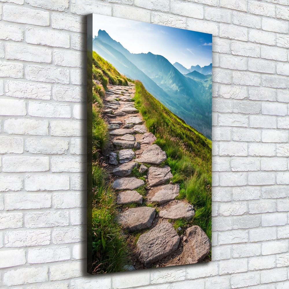 Vertikálny foto obraz canvas Horský chodník