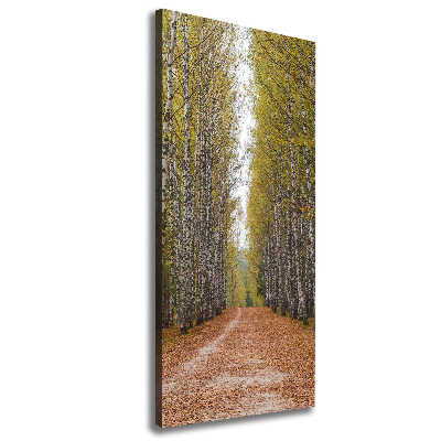 Vertikálny foto obraz canvas Brezový les