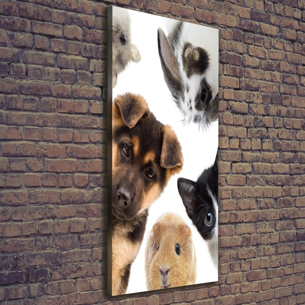 Vertikálny foto obraz na plátne Domáce zvieratá