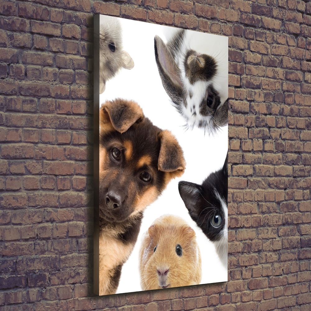 Vertikálny foto obraz na plátne Domáce zvieratá