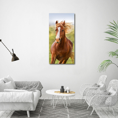 Vertikálny foto obraz na plátne Kôň v pokluse