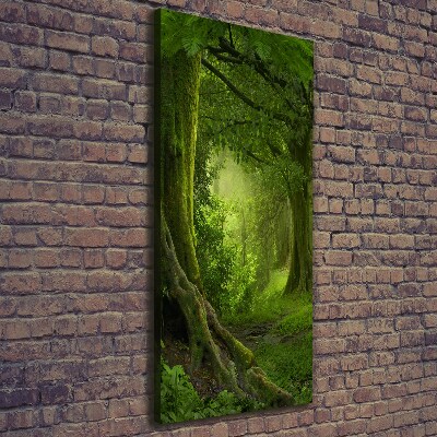 Vertikálny foto obraz na plátne Tropická džungle