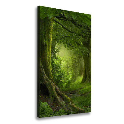 Vertikálny foto obraz na plátne Tropická džungle
