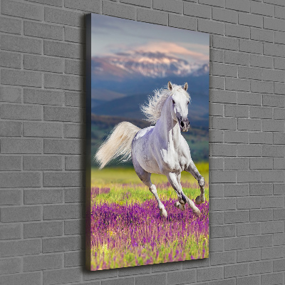 Vertikálny foto obraz na plátne Biely kôň cval