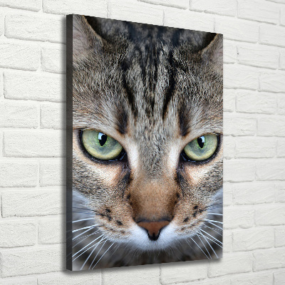 Vertikálny foto obraz na plátne do obývačky Oči mačky