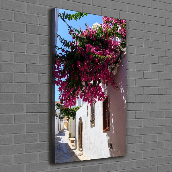 Vertikálny foto obraz canvas Rhodos Grécko