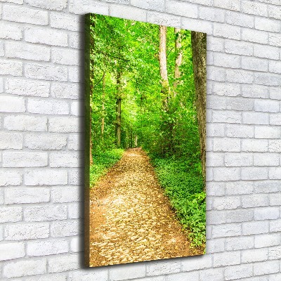 Vertikálny foto obraz na plátne Chodník v lese