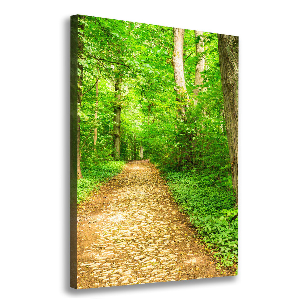 Vertikálny foto obraz na plátne Chodník v lese