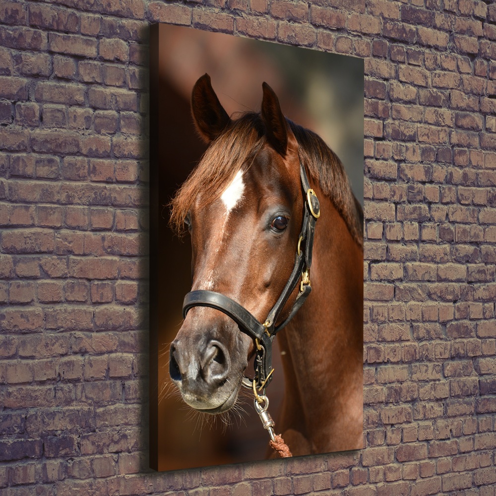 Vertikálny foto obraz na plátne Portrét koňa