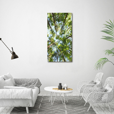 Vertikálny foto obraz canvas Koruna stromov