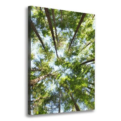 Vertikálny foto obraz canvas Koruna stromov
