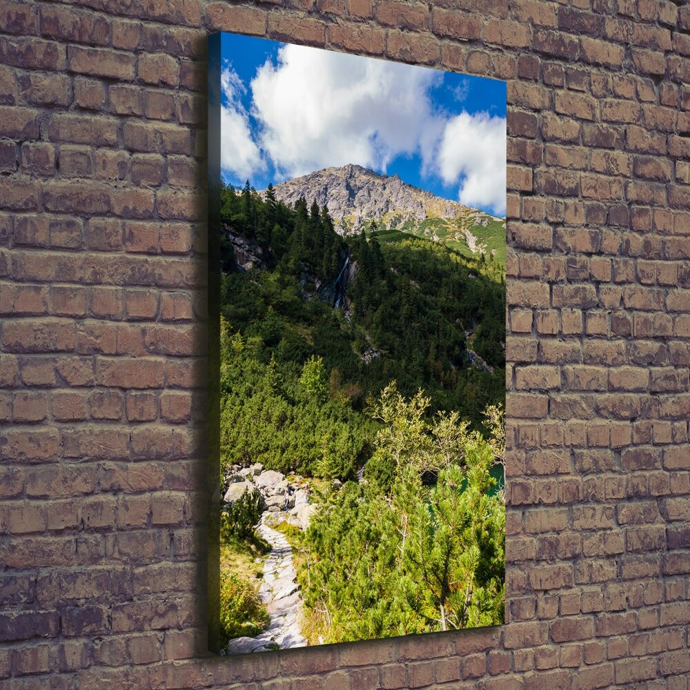 Vertikálny foto obraz na plátne Morské oko Tatry