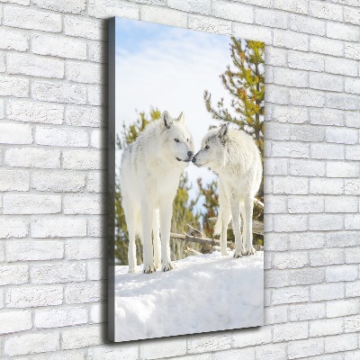 Vertikálny foto obraz na plátne Dva bieli vlci