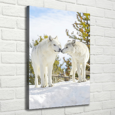 Vertikálny foto obraz na plátne Dva bieli vlci