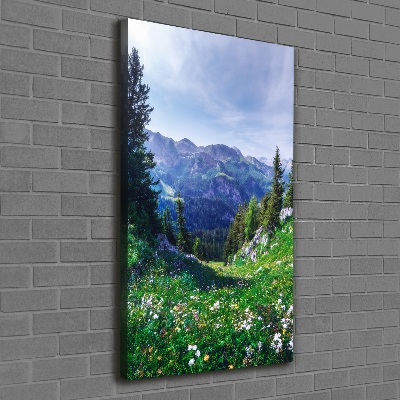 Vertikálny foto obraz tlačený na plátne Alpy