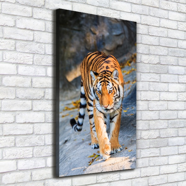 Vertikálny moderný fotoobraz canvas na ráme Tiger