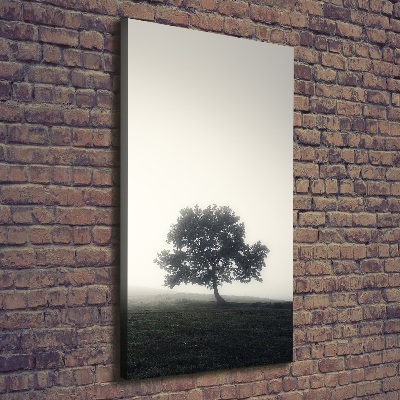 Vertikálny foto obraz na plátne Drevo v hmle