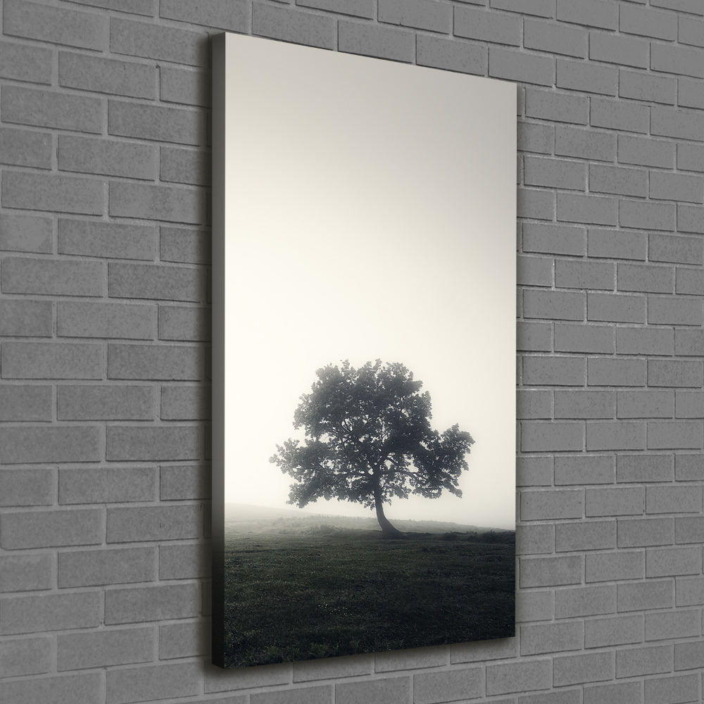 Vertikálny foto obraz na plátne Drevo v hmle