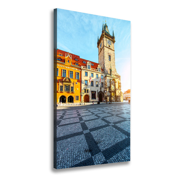 Vertikálny foto obraz canvas Praha Česko