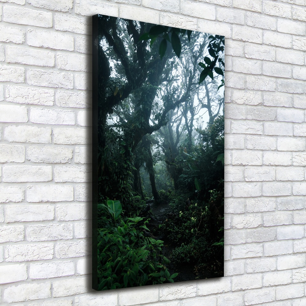 Vertikálny foto obraz na plátne Dažďový prales