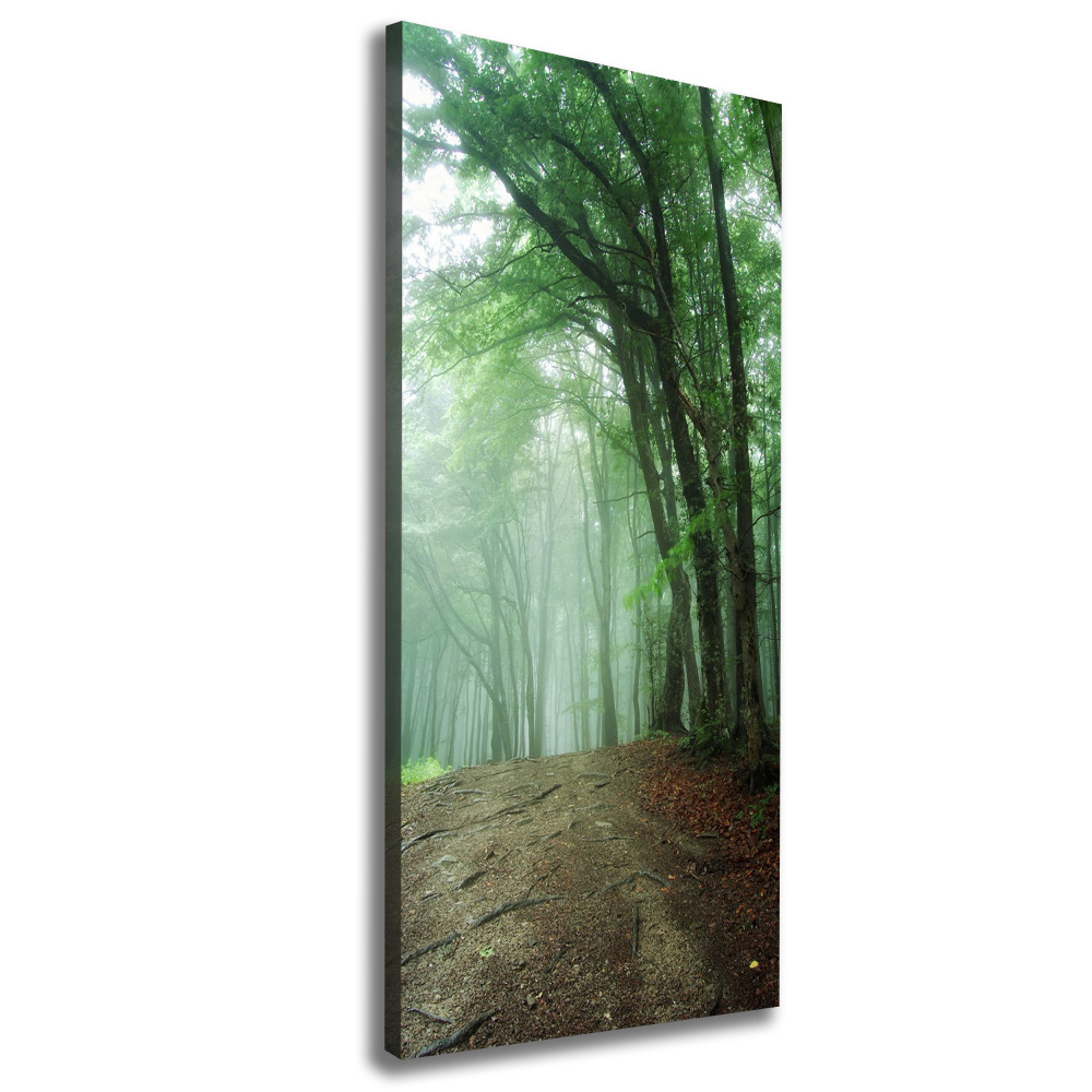 Vertikálny foto obraz canvas Hmla v lese