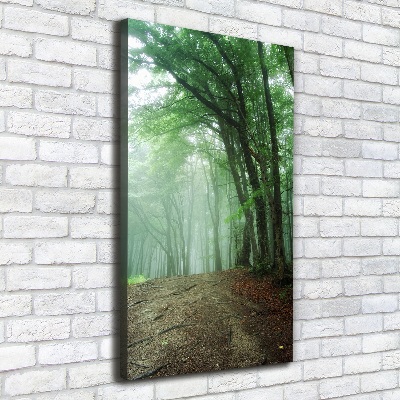 Vertikálny foto obraz canvas Hmla v lese