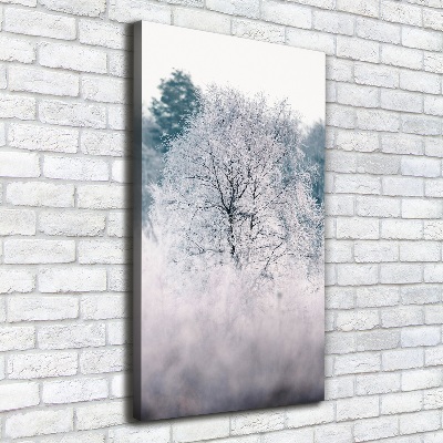 Vertikálny foto obraz na plátne do obývačky Les zima