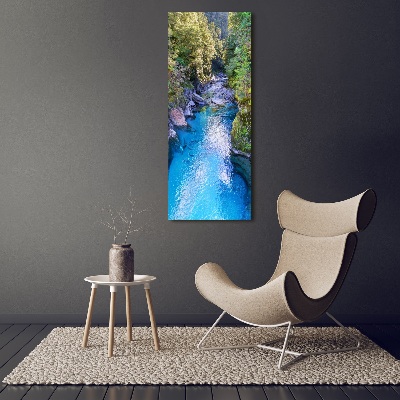 Vertikálny foto obraz canvas Rieka v lese