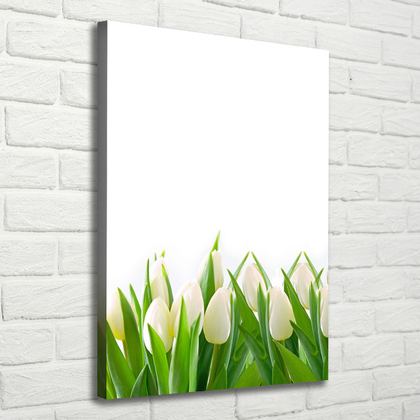 Vertikálny foto-obraz canvas do obývačky Biele tulipány