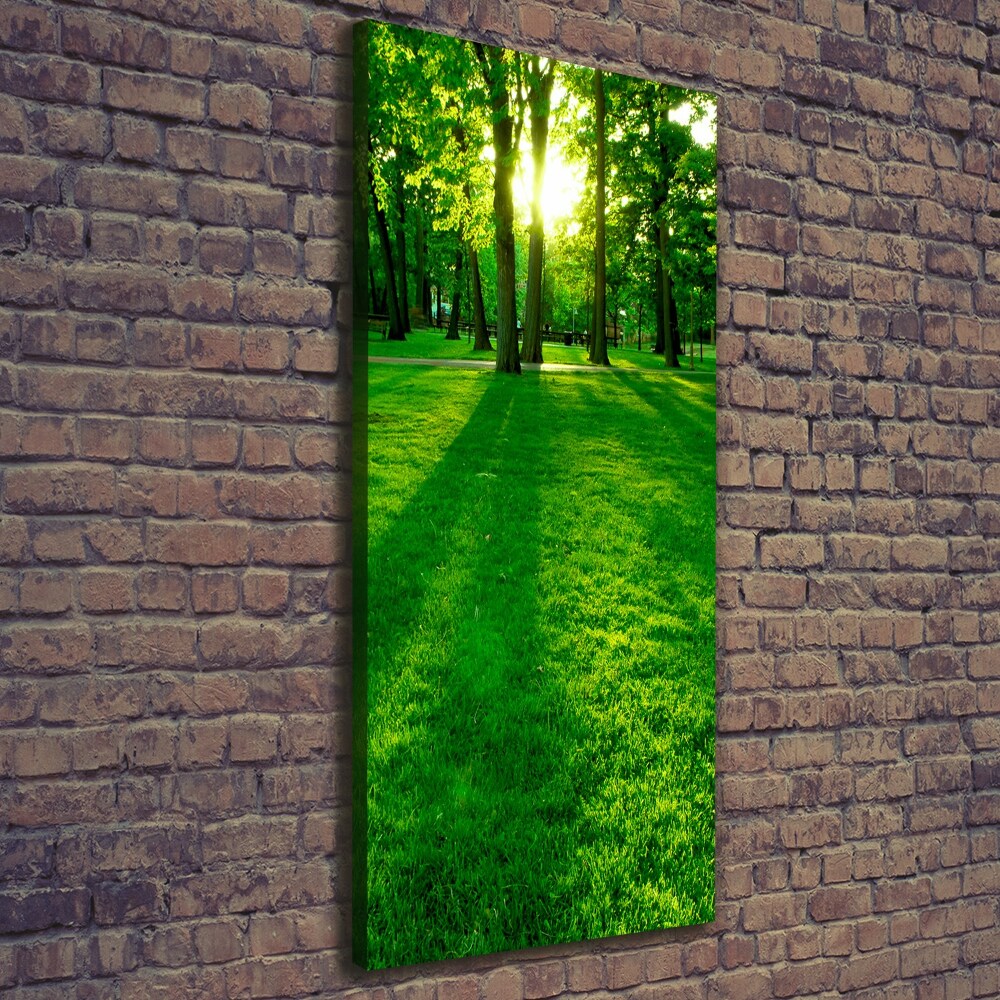 Vertikálny foto obraz na plátne Slnko v parku