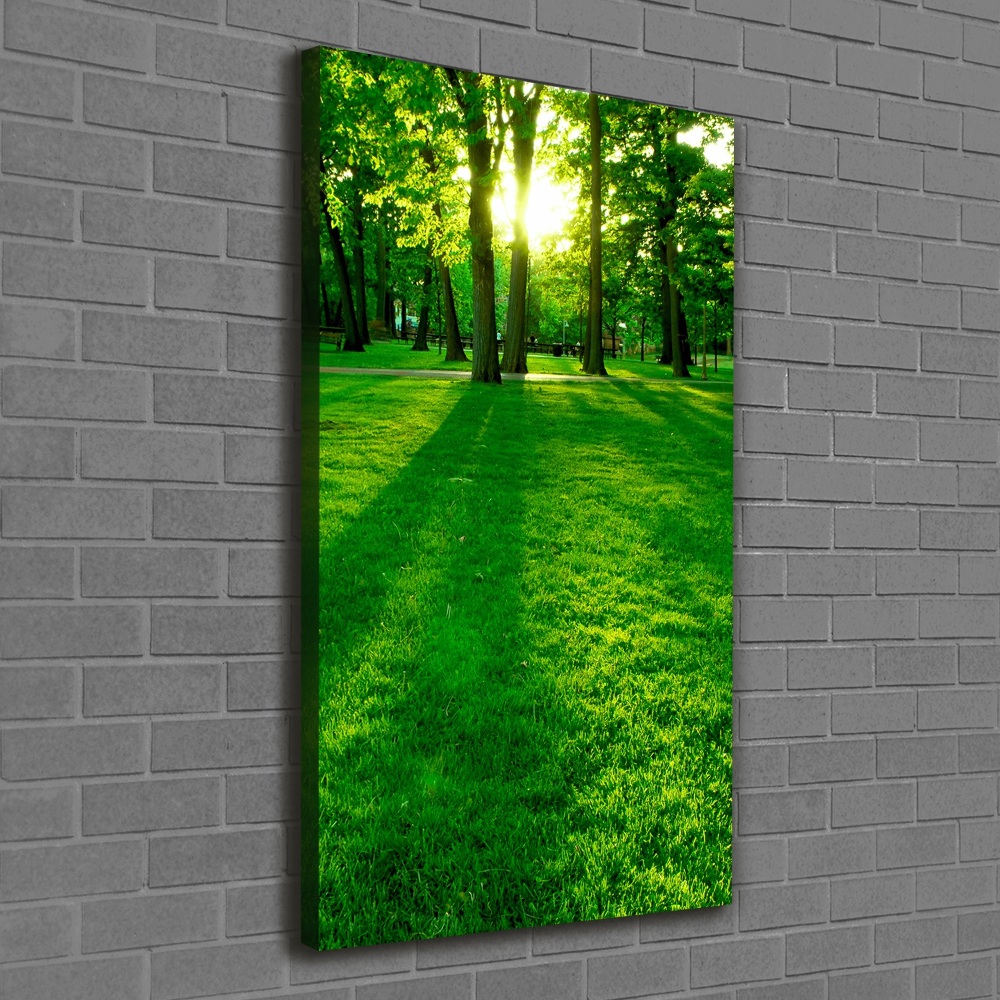 Vertikálny foto obraz na plátne Slnko v parku