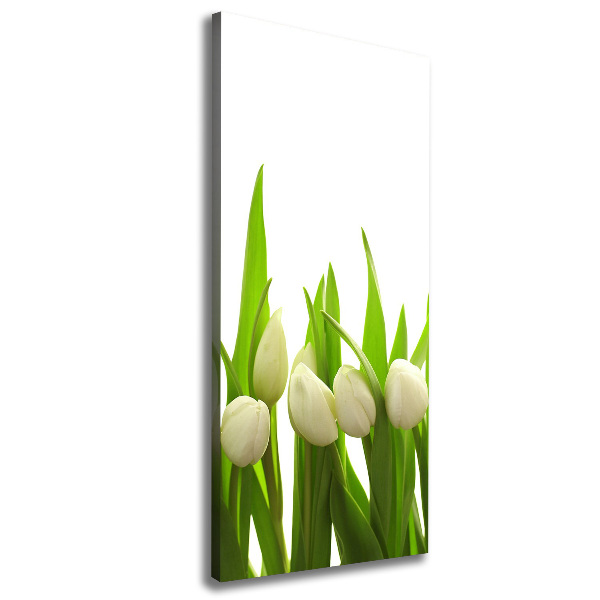 Vertikálny foto-obraz canvas do obývačky Biele tulipány