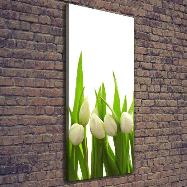 Vertikálny foto-obraz canvas do obývačky Biele tulipány