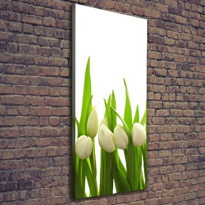 Vertikálny foto-obraz canvas do obývačky Biele tulipány