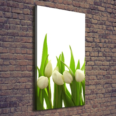 Vertikálny foto-obraz canvas do obývačky Biele tulipány