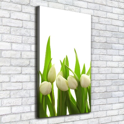 Vertikálny foto-obraz canvas do obývačky Biele tulipány